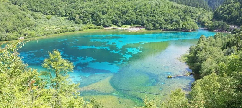 九寨溝（きゅうさいこう）現地ツアー