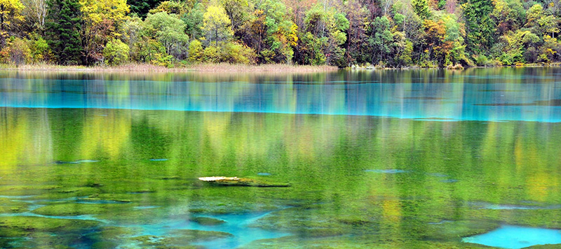 九寨溝（きゅうさいこう）現地ツアー
