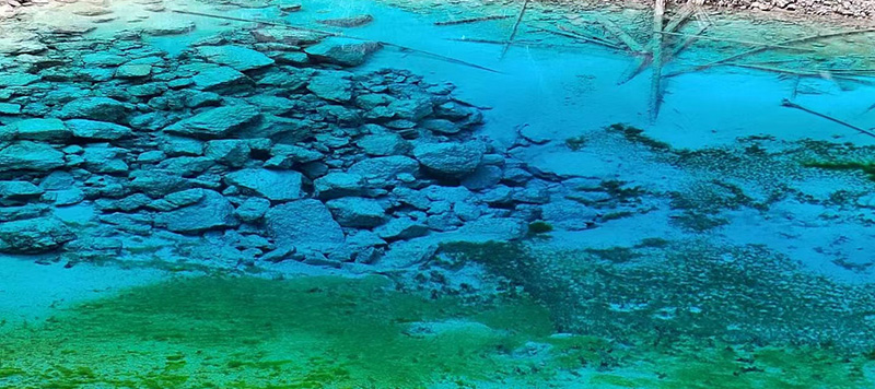 九寨溝（きゅうさいこう）現地ツアー