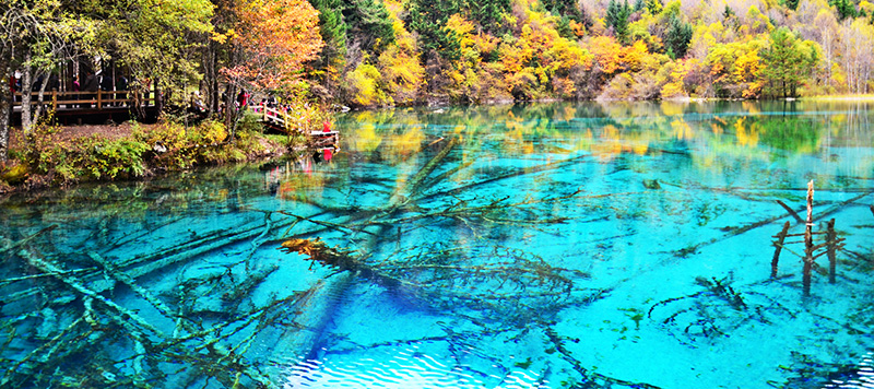 九寨溝（きゅうさいこう）現地ツアー