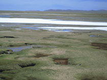 ���S�� ���n