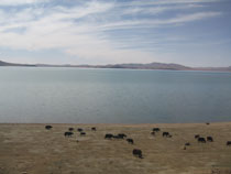 ���S�� �[�ߌ�