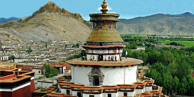 �`�x�b�g���T�E�M�����c�F�E�V�K�c�F7���Ԋό��c�A�[