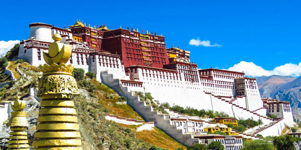 ���T �|�^���{