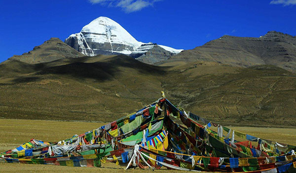 �J�C���X�i�J���E�����|�`�F�����m�g�ĕ�j