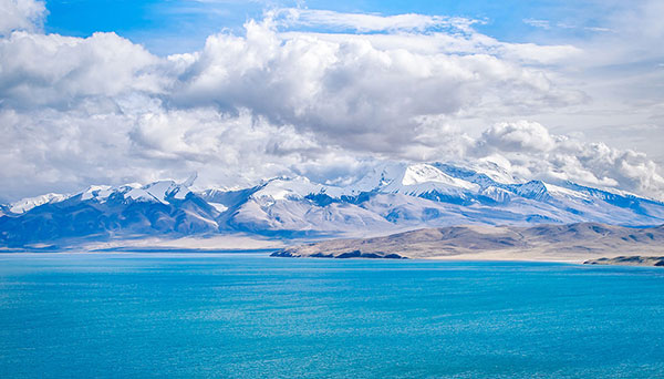 �}�i�T�����[���΁i�}�o���E�����c�H�@���贍��j