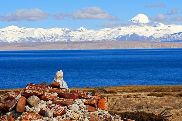 �}�i�T�����[���΁i�}�o���E�����c�H�@���贍��j