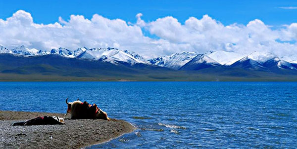 �i���c�F�� �i�[�؍��j