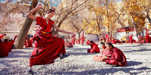 ���T �Z�����i�F�f���j