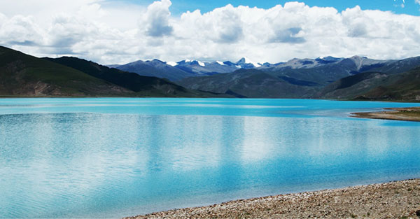 �����h�H�N�΁i�r��贍��j