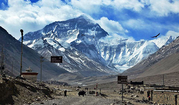 �`���������}��