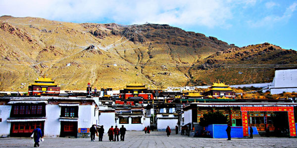 �V�K�c�F�^�V�����|���i�H�Y�ϕz���j