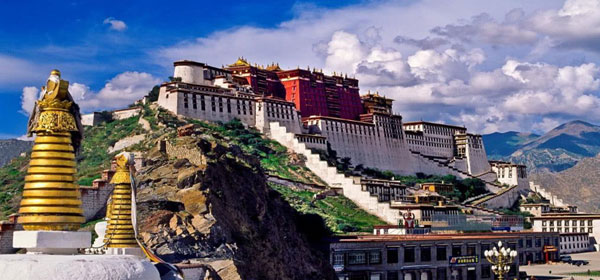 �`�x�b�g���n�c�A�[