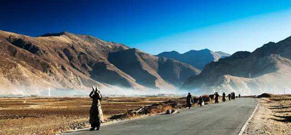 �`�x�b�g���n�c�A�[