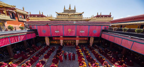 �`�x�b�g���n�c�A�[