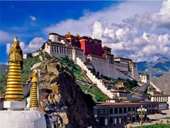 �`�x�b�g���n�c�A�[