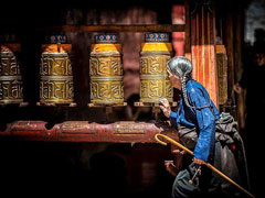 �`�x�b�g���n�c�A�[