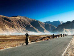 �`�x�b�g���n�c�A�[