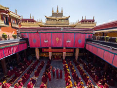 �`�x�b�g���n�c�A�[