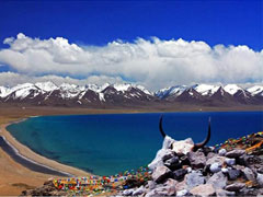 �`�x�b�g���n�c�A�[