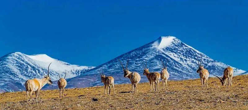 青海チベット鉄道（青蔵鉄道）景色