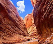 ���R�Α勬�J