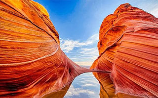 ���t�ό��p�b�P�[�W�c�A�[