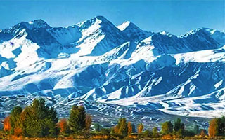 ��C���@���t�ό��c�A�[