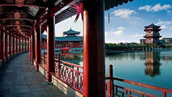 �������s���q�l�̐�