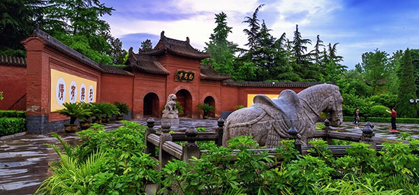 ���z�@���n���i�͂��΂��j