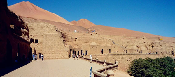 �V���g���t�@���@�׃[�N���N�畧��