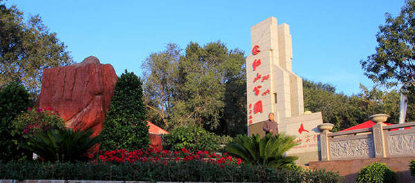 �V���E�����`�@�g�R����