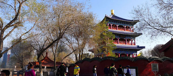 �V���E�����`�@�g�R����