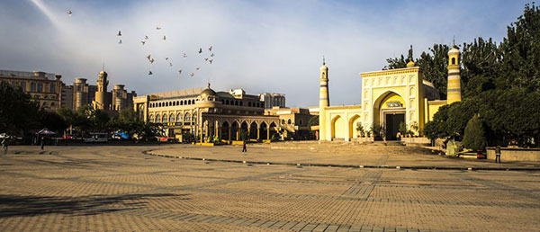 �V���J�V���K���@�G�C�e�B�K�[�����^��