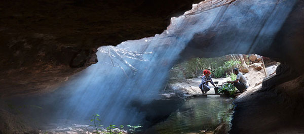 �V���g���t�@���@�J���[�Y