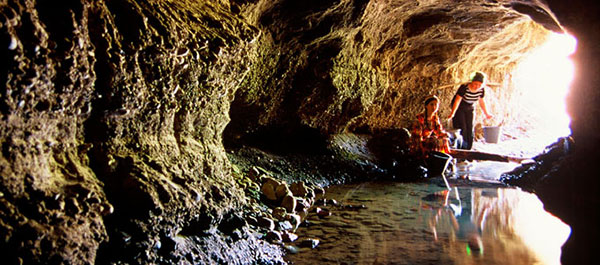 �V���g���t�@���@�J���[�Y