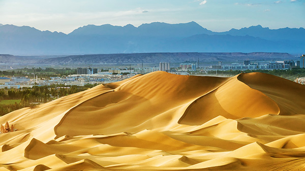 �V���g���t�@���@�N���^�O�����i�ɖؓ��i�����j