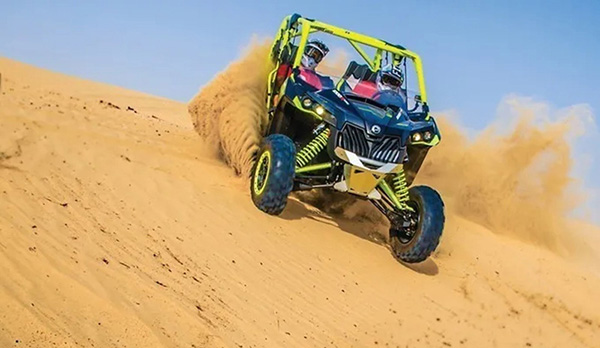 �V���g���t�@���@�N���^�O�����i�ɖؓ��i�����j