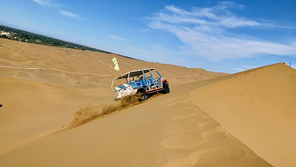 �V���g���t�@���@�N���^�O�����i�ɖؓ��i�����j