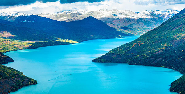 �V���@�J�i�X��