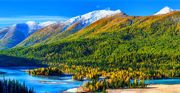 �V���@�J�i�X��