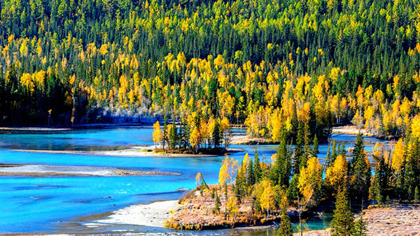 �V���@�J�i�X��