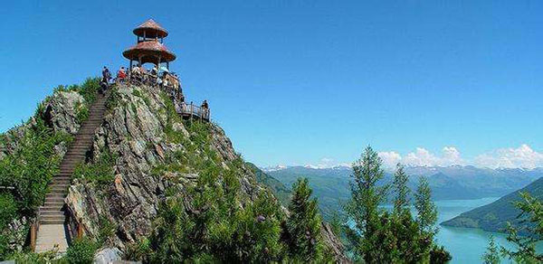 �V���@�J�i�X��