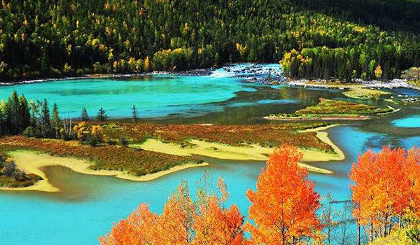 �V���@�J�i�X��