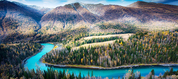 �V���@�J�i�X��