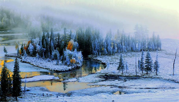 �V���@�J�i�X��