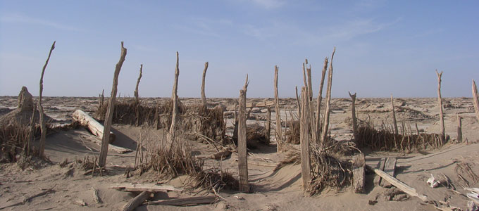 �O���i���E�����j