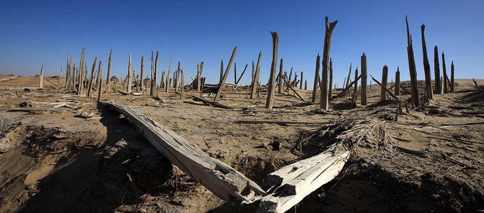 �j���i���j���