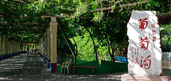 新彊トルファン 葡萄溝 新彊トルファン 葡萄溝