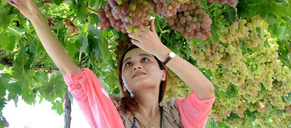 新彊トルファン 葡萄溝 新彊トルファン 葡萄溝